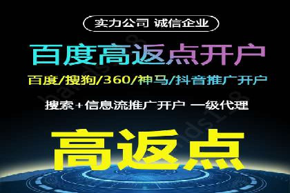 竞价广告的投放策略与网络推广的实践案例
